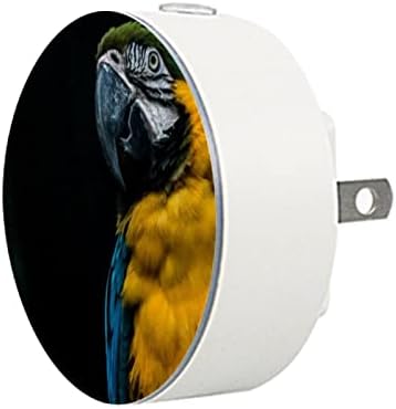 2 Pacote de embalagem Nightlight LED Night Light Parrot Padrão com sensor de Dusk-to-Dawn para quarto de crianças, viveiro, cozinha, corredor