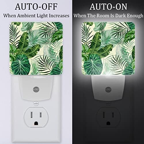 Rodailycay sensor leve à noite folhas tropicais verdes de fundo, 2 pacotes de luzes noturnas se conectam na parede, luz noturna de LED branco quente para viveiro, quarto, banheiro, corredor, quarto infantil, escadas