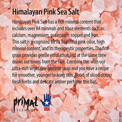 Elementos primitivos pão de sabão, sal marinho rosa do Himalaia, 5,5 libras