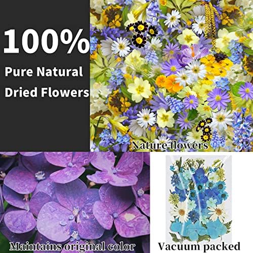 Flores secas para resina, 286pcs Flores naturais e folhas compactadas, a vácuo, flores secas DIY para epóxi,