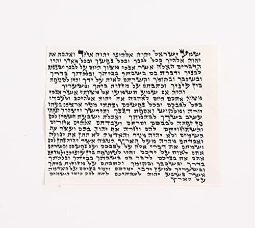 Kosher Mezuzah Scroll de Israel - Klaf Mezuza Pergaminho por Proshofar