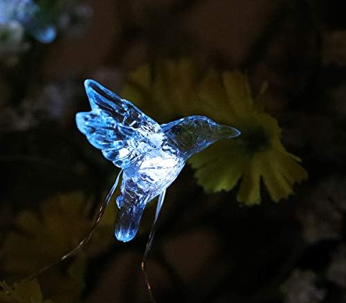 Luzes de corda de beija -flor solares solares WSGIFT, 15,8 pés 30 led de pássaros à prova d'água de 15,8 pés 30 led led