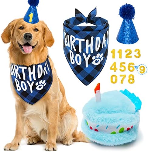 Orzechko Dog Birthday Bandana Conjunto - cachorro xadrez Bandana Triângulo Longue e bolo Squet