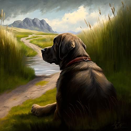 Ccfqiangtie 5d diamante pintura diy, cão de animais, cão de montanha bernese, paisagem do rio Mountain,