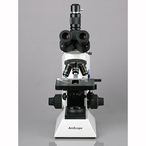 AMSCOPE T580B 2000X Pesquisa profissional Microscópio de composto biológico