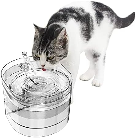 Água de cão de gato água de água filtrada automática para animais de estimação para bebida saudável.