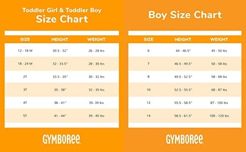 Gymboree Boys e crianças de manga longa bordada de criança bordada camisetas em camadas