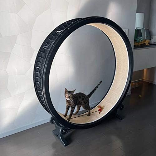 Slatiom Pet Cats Sports Wheel Cats Cats Sports Sports Toy Toy Running Wheel Shalbing Cats Chaping