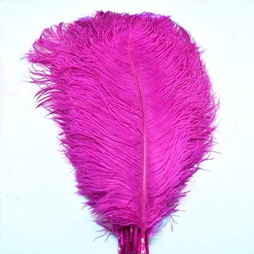 10 PCs/lote 15-70cm Rose Red Avestrich Feathers For Crafts Plumes Diy Feathers Natural Vaso Jóias Fazendo