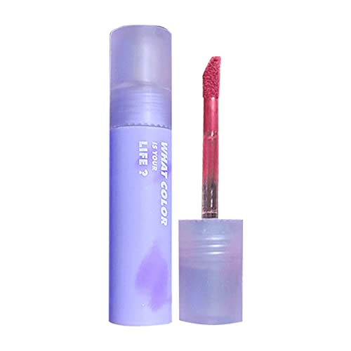 Presente para meninas diariamente produtos de cosméticos batom com maquiagem labial Veludo de veludo duradouro High Pigmment Nude Colors Gloss