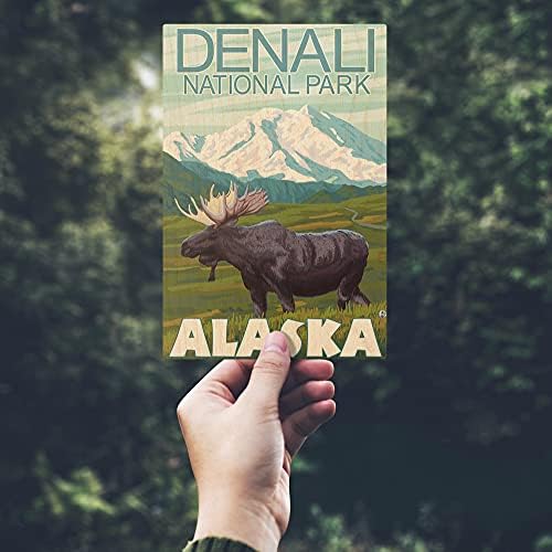 Parque Nacional de Denali, Alasca, Cenário de Moose Birch Wall Wall Sign