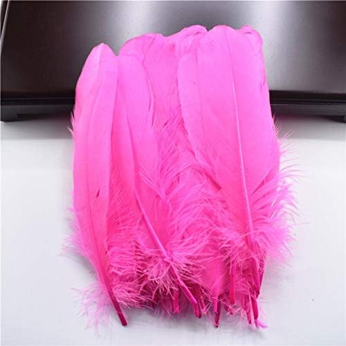Zamihalaa Hard Stick Feathers naturais de ganso para roupas 5-7 /12-18cm Feathers para jóias que produzem acessórios