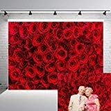 Fanghui Red Rose Floral Partle Photography Castas do dia dos namorados Decoração Photo Studio Props Booth Vinyl 7x5ft