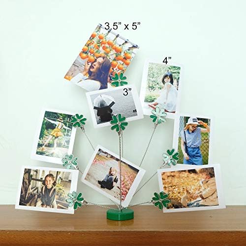Suporte de moldura de imagem de árvore genealógica de 8 ramos, suporte para o suporte para fotos do cartão para o cartão de recarga de papel