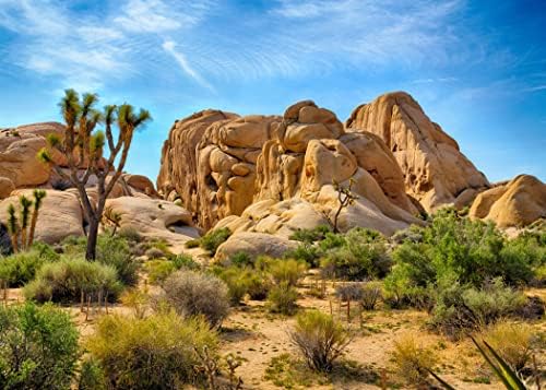 Corfoto 9x6ft Parque Nacional Cenário do deserto Pedras do deserto e Joshua Trees Fotografia Antecedentes