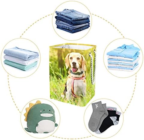 Cesta de lavanderia com alças cães de lavanderia dobráveis ​​à prova d'água para caixas de armazenamento Organizador de cães para casa do quarto de armazenamento, 19.3x11.8x15.9 em