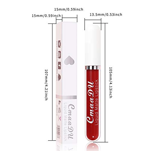 Conjunto de kits de plumper labial Gloss 2.5ml Impermeável anti-resfriado sem canal e batom de batom de batom de batom de 18 cores Lipstick