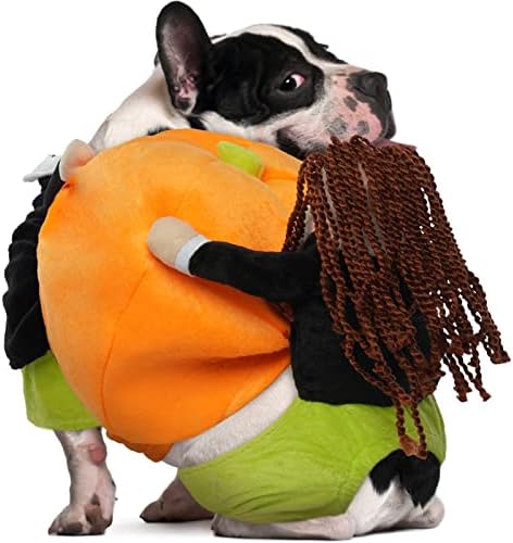 Fuamey Dog Trajes Pumpkin, Pet Halloween Cosplay Roupas engraçadas de cães médios Médio