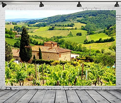 BELECO 15x10ft Fabric Fabric Italian Vineyard Penmop Backdrop Toscana cenário da fazenda cenário de pedra