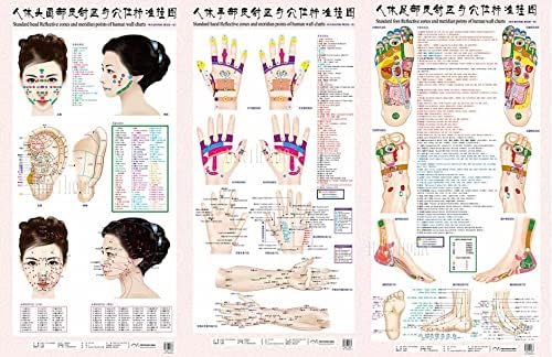 WELLIEST 3 Estilo padrão Meridian Acupunction Points Chart e Zhenjiu Moxibustion Acuppoint Massage