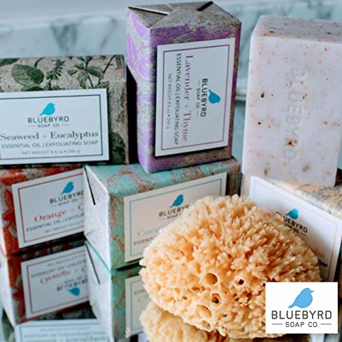 Bluebyrd Soap Co. Conjunto de variedades em caixa de 5 pacotes esfoliando barras de sabão essencial
