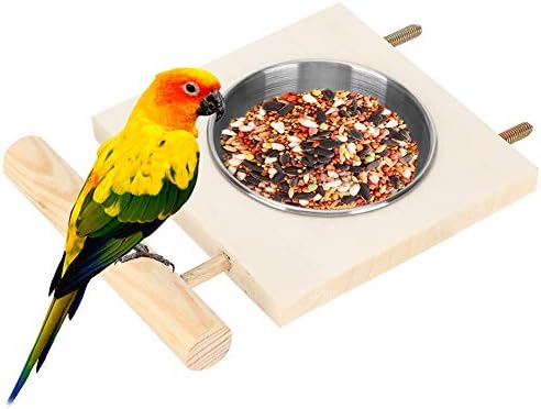 Ponto de ave de pássaro, papagaio de aço inoxidável tigela de alimentação de madeira de madeira Stand alimento