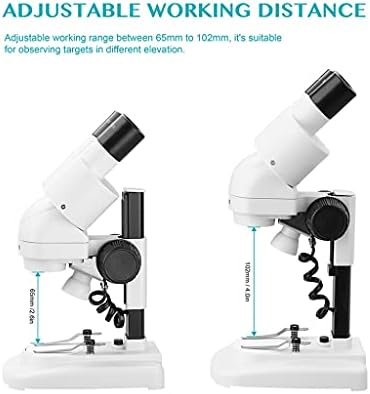 JRDHGRK 2 0X / 40X Microscópio estéreo 45 ° Econfieces oculares com topo de olho LED HD Vision PCB Saler Mobile