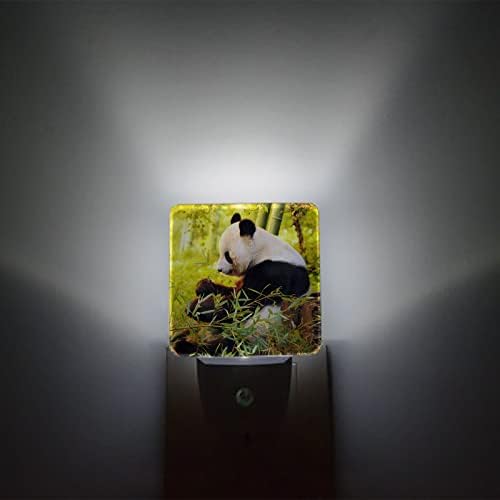 Luz noturna para crianças, preto e branco Panda Bamboo Nature Animal Led Night Light Plug na parede