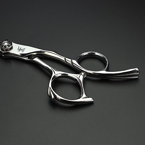 Nova tesoura de tesoura de 6 polegadas Barbeiro Profissional Scissors Japan 440C Aço
