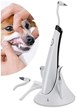 Scaler de dentes de Pet Celltick - tratamento odontológico excepcional adaptado a cada animal de estimação individual com vibração acústica