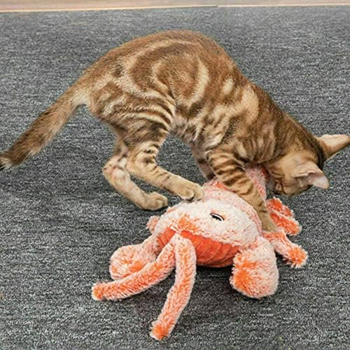 Brinquedos interativos de kuyyfds, movimentos de chargo de gato de gato de lagosta de lagosta de gato