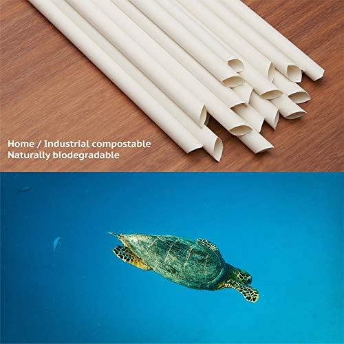 Smoothie biodegradável boba canudos feitos de fibra de bambu | 300 canudos no total
