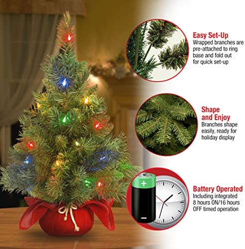 Nacional da Mini-Natal Artificial da Companhia Nacional de Árvores | Inclui luzes LED multicoloridas e base de bolsa de pano | Majestic Fir - 2 pés