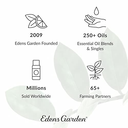 Edens Garden Fir Needle- óleo essencial da Sibéria, pura grau terapêutica 30 ml