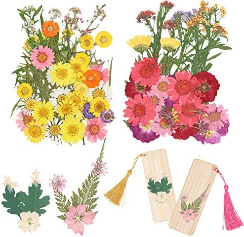 Conjunto de 4 pacotes flores prensadas reais incluem 2 Flores DIY marcadores de madeira e 2 materiais de flores secas para fazer arte e artesanato