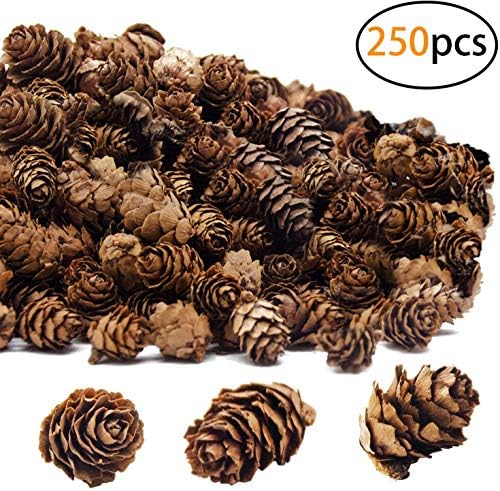 Deloky 250 PCs Christmas Mini Pinecones naturais de pinheiros-Agradeções de pinheiros para artesanato de