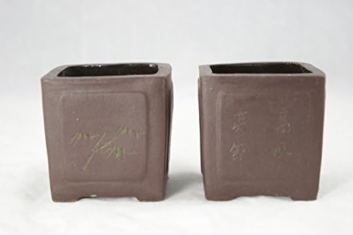 2 Mini Yixing Zisha quadrado, Lucky Bamboo Pot 2,75 x 2,75 x 3