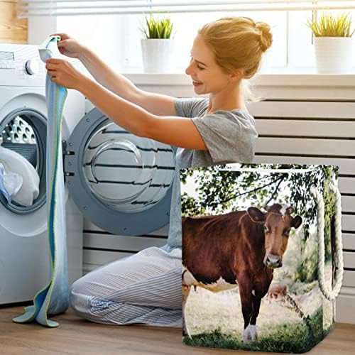 Cesta de lavanderia com alças cestas de lavanderia dobráveis ​​à prova d'água para caixas de armazenamento Crianças Organizador de campo Fazenda de gado de campo de gado, 19.3x11.8x15.9 em