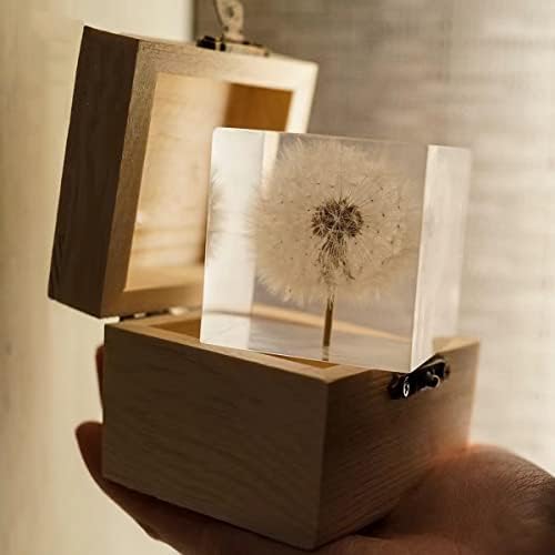 Deshintke Cube Dandelion Amostra de papel com caixa de madeira, decoração de decoração de desktop de leão transparente de 2 polegadas de 2 polegadas