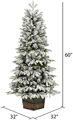 Vickerman 5 'Fosco Wendell Slim Poted Pine Artificial Christmas Tree, Luzes LED de LED de Dura Branca