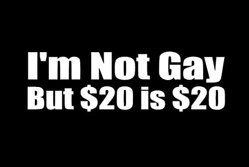 Eu não sou gay, mas US $ 20 é US $ 20 Conjunto engraçado de vinil | carros caminhões Vans Walls
