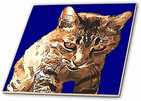 3drose nascido para olhar para os seres humanos Tabby Cat Art - azulejos