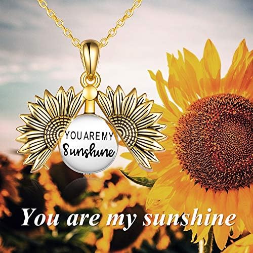 Onefinity Sterling Silver Sunflower Urna Colar para Ashes You Are My Sunshine Pinging Cremation Jóias para cinzas de entes queridos