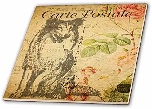 Imagem 3drose de cartão postal francês vintage com um collie e floral - azulejos