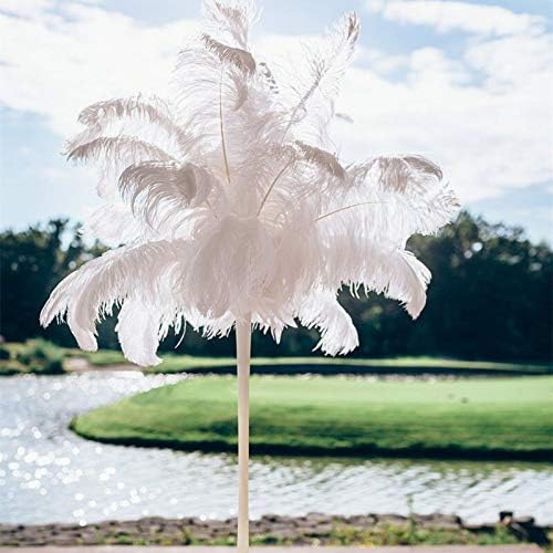 Zamihalaa Wholasale Avestruz White Feather 10pcs-200pcs 15-70cm Penas DIY para partido de decoração