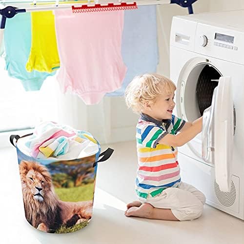 Foduoduo Roupa Lion3 cesto de lavanderia com alças cesto dobrável Saco de armazenamento de roupas sujas para quarto, banheiro, livro de roupas de brinquedo