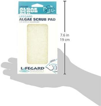 Lifegard Aquatics de 4 polegadas por bloco de algas brancas de 6 polegadas