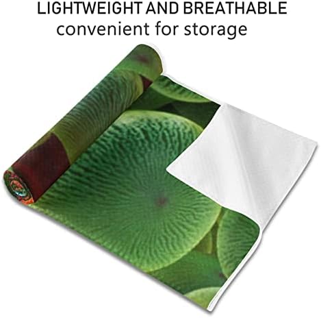Aunhenstern Yoga Blanket Clawnfish-Tropical-Fish-Nemo Yoga Towel Yoga Mat Toalha