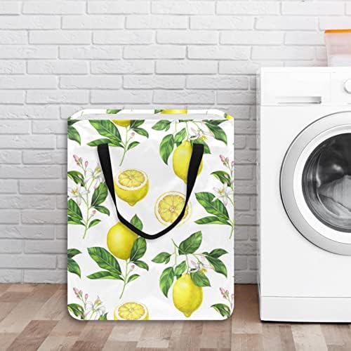 Fruta Padrão de limão amarelo Print Print Collapsible Laundry Horse, 60l de lavanderia à prova d'água