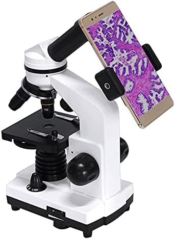 Composto Profissional de Microscópio Biológico Profissional Microscópio Microscópio Microscópio Microscópio Microscópio Adaptador de Smartphone 40x-1600x